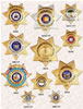 BADGE-STAR-7PT-PAGE-1 400